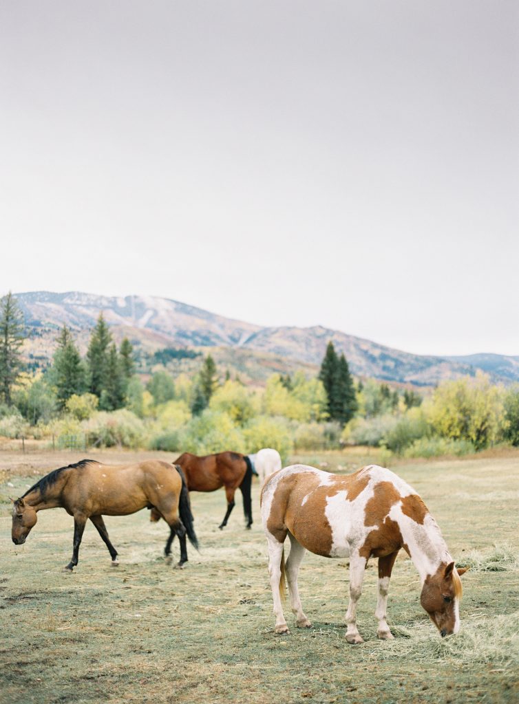 View More: http://carriekingphotographer.pass.us/ericaandcoreysweddingday